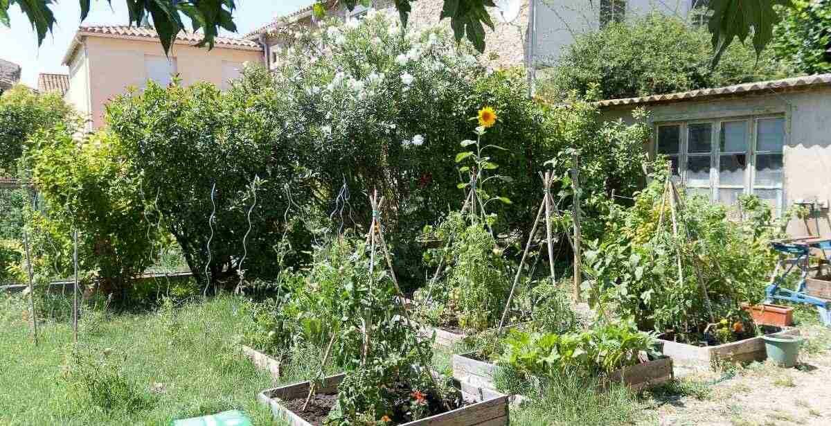 The Kitchen Garden What Is It? Road to Reliance