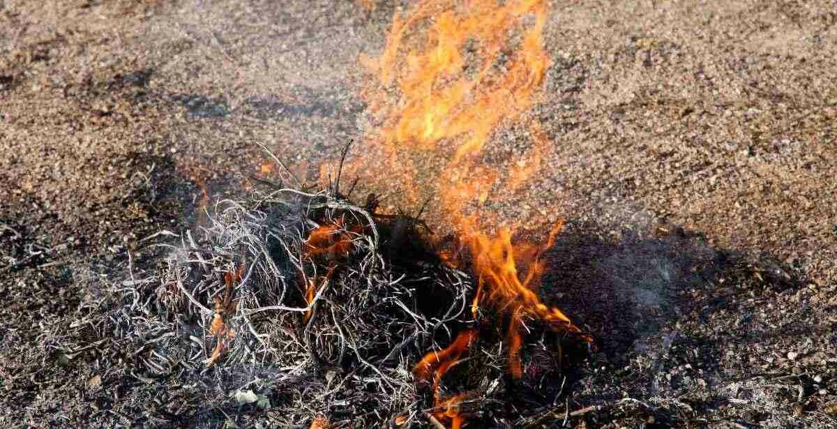 How To Make DIY Fire Starters Road to Reliance