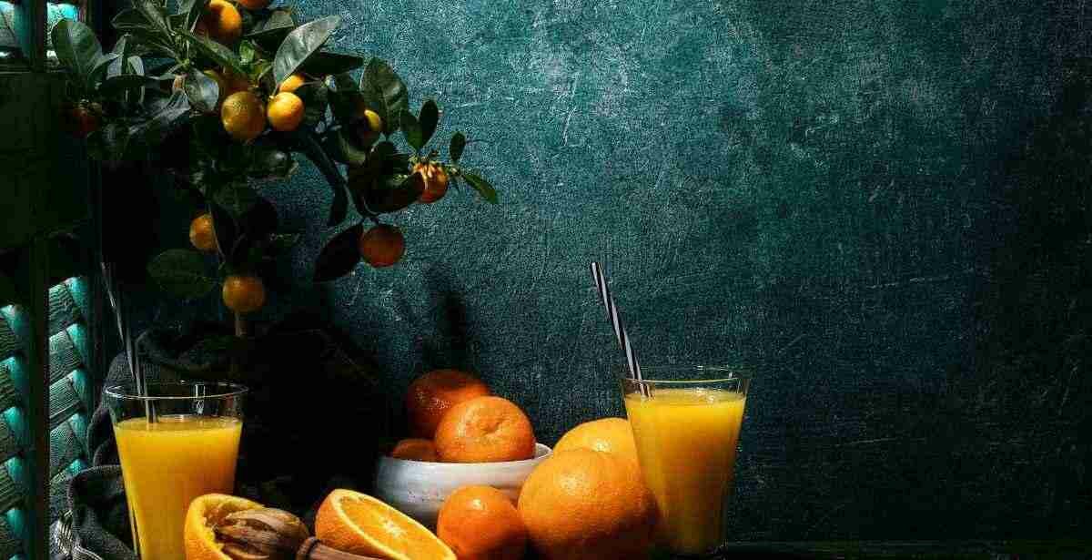 How To Preserve Oranges Road to Reliance