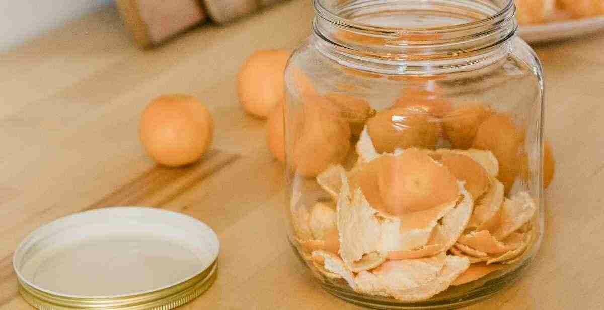 How To Preserve Oranges Road to Reliance